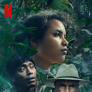 Bilder Tragic Jungle