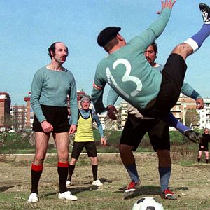 Bilder Das größte Rindvieh weit und breit