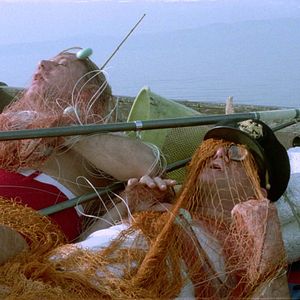 Bilder Das größte Rindvieh weit und breit