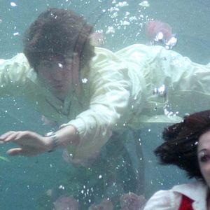 Bilder Das größte Rindvieh weit und breit