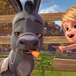 Bilder Spirit - frei und ungezähmt