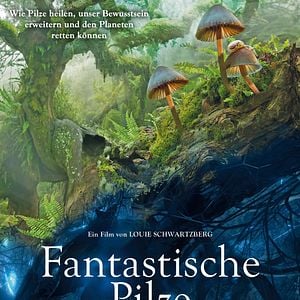 Bilder Fantastische Pilze - Die magische Welt zu unseren Füßen