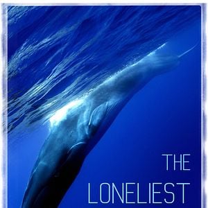 Bilder The Loneliest Whale: The Search For 52