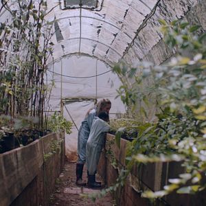 Bilder Erdmännchen und Mondrakete