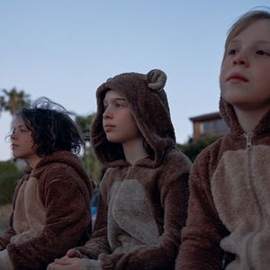 Bilder Beflügelt – Ein Vogel namens Penguin Bloom