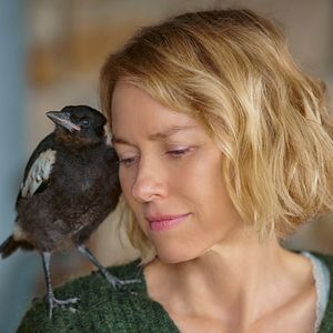 Bilder Beflügelt – Ein Vogel namens Penguin Bloom