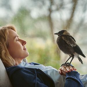 Bilder Beflügelt – Ein Vogel namens Penguin Bloom