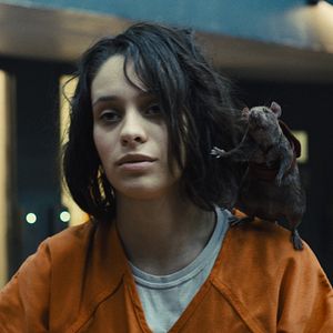 Bilder The Suicide Squad