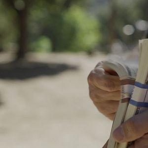 Bilder Unglaubliche Diebstähle