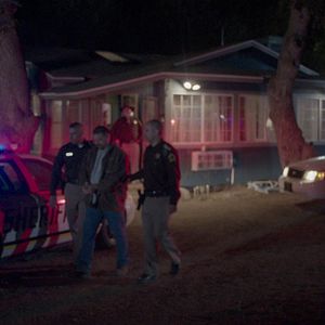 Bilder Unglaubliche Diebstähle