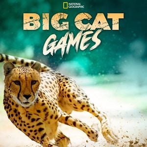 Bilder Big Cat Games