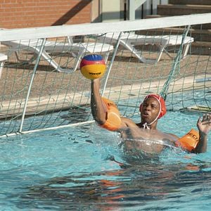 Bilder Dimitri Abold