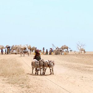 Bilder Marcher Sur L'Eau