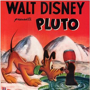 Bilder Pluto, der Rettungshund
