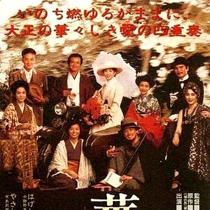 Bilder A Chaos of Flowers