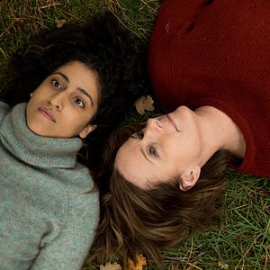 Bilder Immer der Nase nach