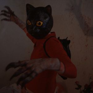 Bilder Cat Sick Blues