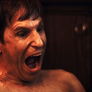 Bilder Cat Sick Blues