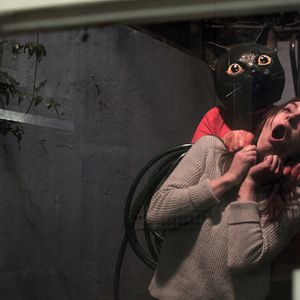 Bilder Cat Sick Blues