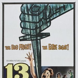 Bilder Kennwort Kätzchen