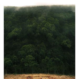 Bilder The Prey - Menschenjagd