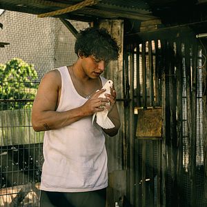 Bilder König der Raben