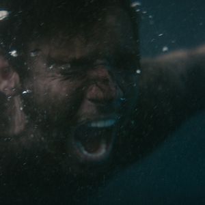 Bilder Im Herzen des Dschungels