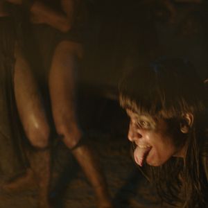 Bilder Im Herzen des Dschungels