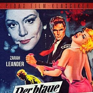 Bilder Der blaue Nachtfalter