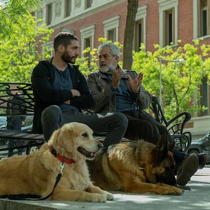 Bilder Carlos Blanco