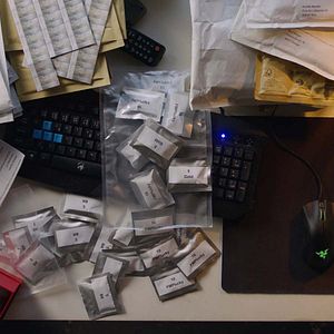 Bilder Shiny_Flakes: The Teenage Drug Lord