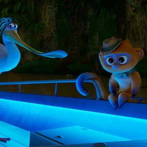 Bilder Vivo - Voller Leben