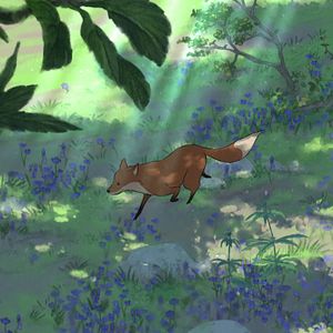 Bilder Princesse Dragon