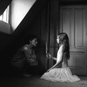 Bilder Polvo de gallo