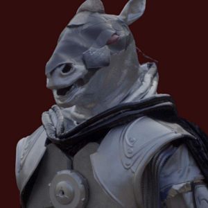 Bilder Der Roboterreiter