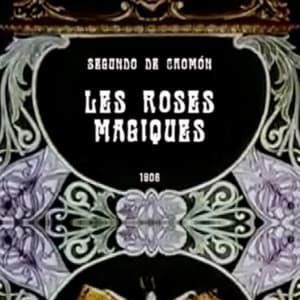 Bilder Les Roses magiques
