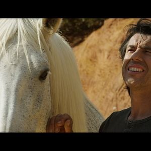 Bilder Ein Pferd namens Gazelle