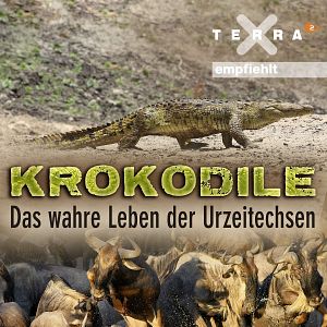 Bilder Krokodile - Das wahre Leben der Urzeitechsen