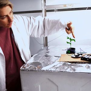 Bilder Aware - Reise in das Bewusstsein