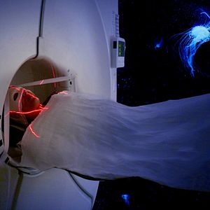 Bilder Aware - Reise in das Bewusstsein