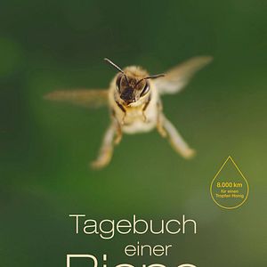 Bilder Tagebuch einer Biene