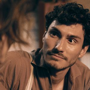 Bilder Es ist nur eine Phase, Hase