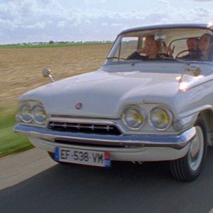 Bilder Online für Änfänger