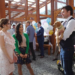 Bilder Liebe mit Herz und Hund