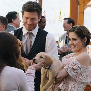 Bilder Liebe mit Herz und Hund