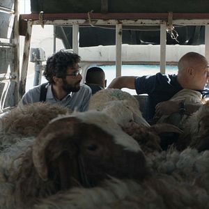 Bilder Le Traducteur