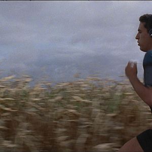 Bilder Shaïn Boumedine