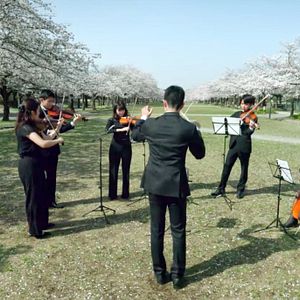 Bilder Wagner, Bayreuth und der Rest der Welt