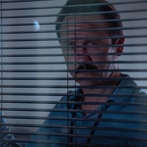 Bilder Der Kastanienmann