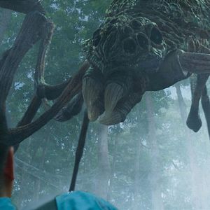 Bilder Crocodile Island